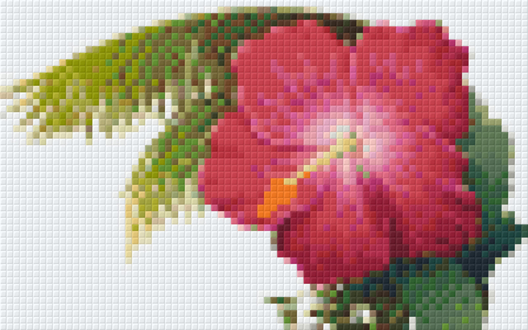 Hibiscus Two [2] Baseplate PixelHobby Mini-mosaic Art Kit image 0